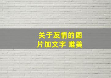 关于友情的图片加文字 唯美